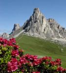 Cortina d�Ampezzo / Lago di Misurina