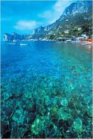 Residence TORRE TURBOLO - Marina del Cantone (Sorrentsk� poloostrov � Costa Amalfitana) - CAMPANIA