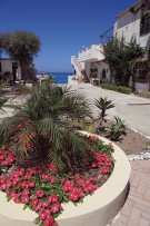 Residence villaggio AGRUMETO - Capo Vaticano � Ricadi - CALABRIA