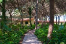 Hotel HORSE COUNTRY RESORT **** � SENIOR 55+ - Golfo di Oristano - SARDEGNA
